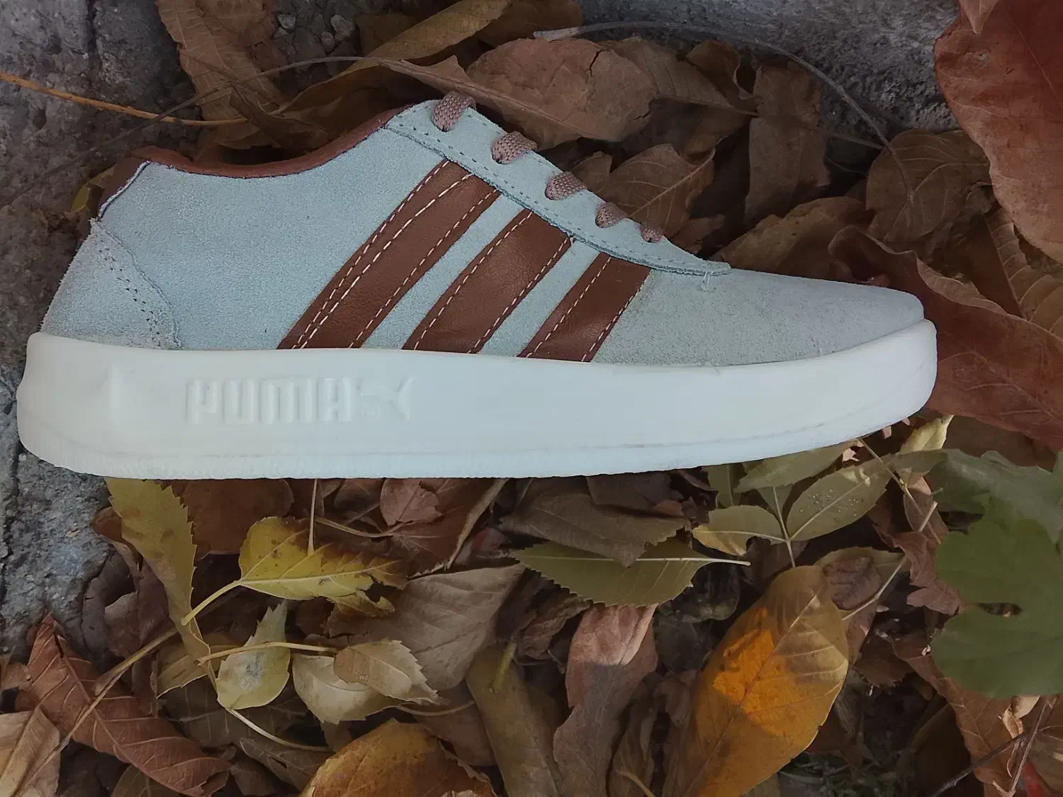 کفش‌کار مردانه اسپرتکس|کیف، کفش، کمربند|کامیاران, |دیوار