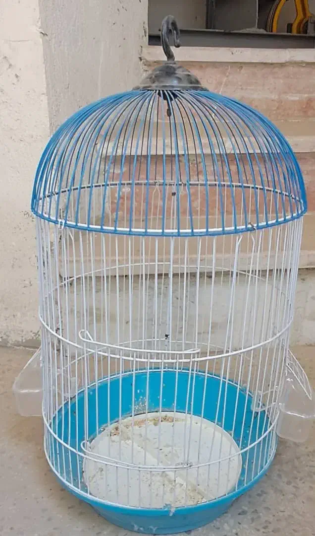۲ عدد قفس|لوازم جانبی حیوانات|اصفهان, احمدآباد|دیوار
