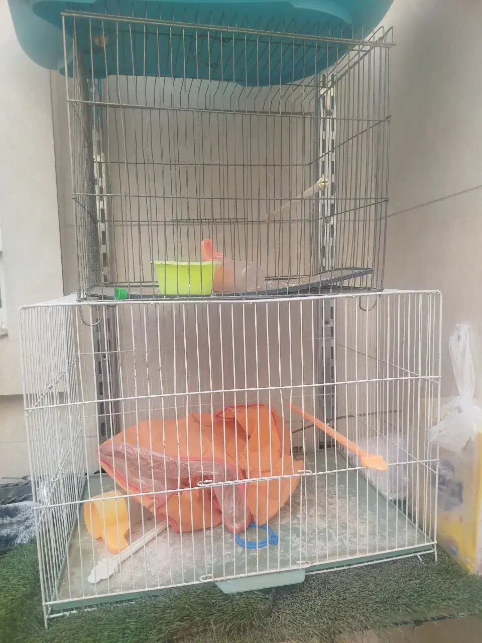 قفس با وسایل|لوازم جانبی حیوانات|کاشمر, |دیوار