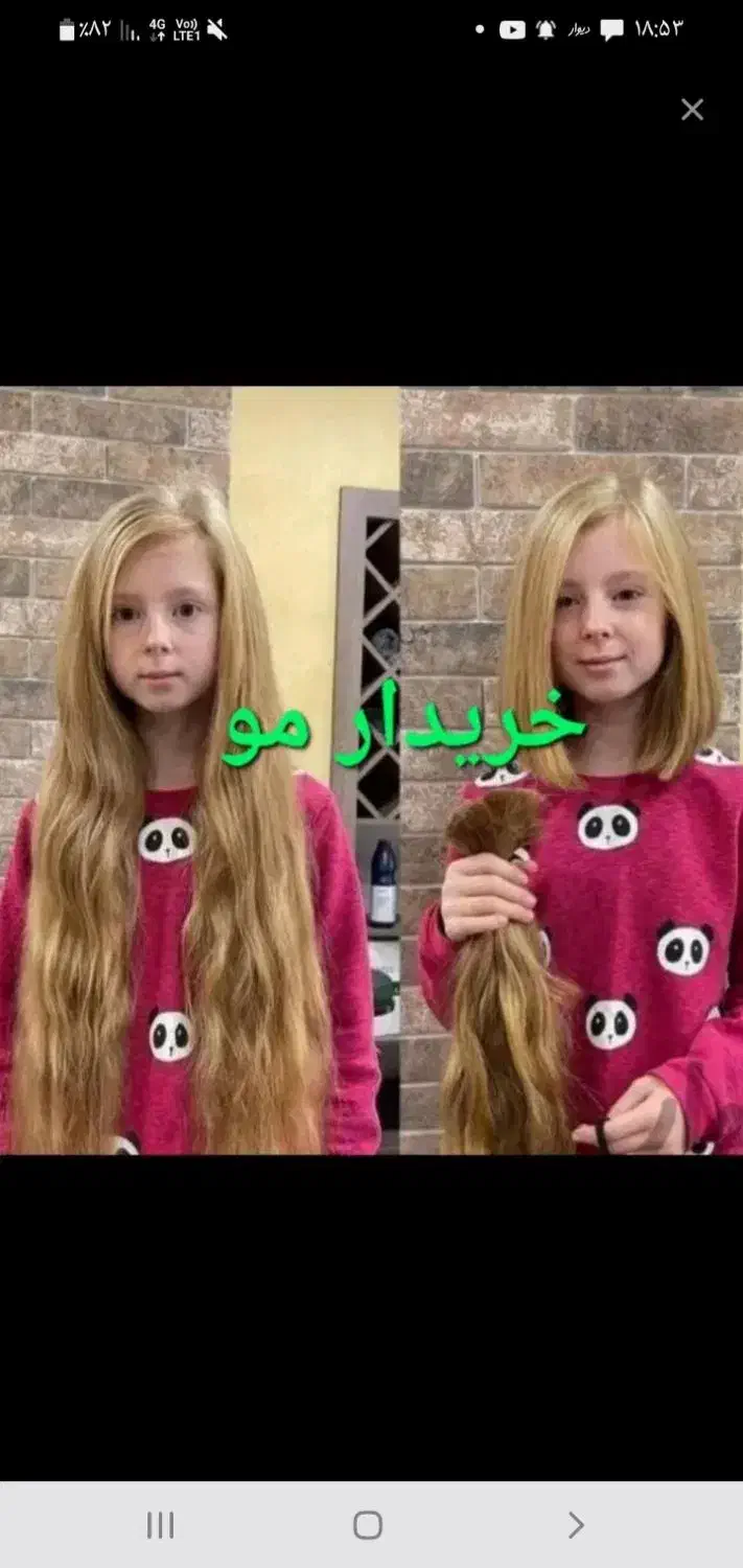 صادرکننده اصلی مو|آرایشی، بهداشتی، درمانی|نهاوند, |دیوار