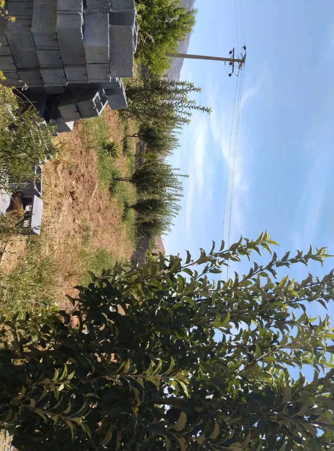 فروش باغچه|فروش زمین و ملک کلنگی|همایجان, |دیوار