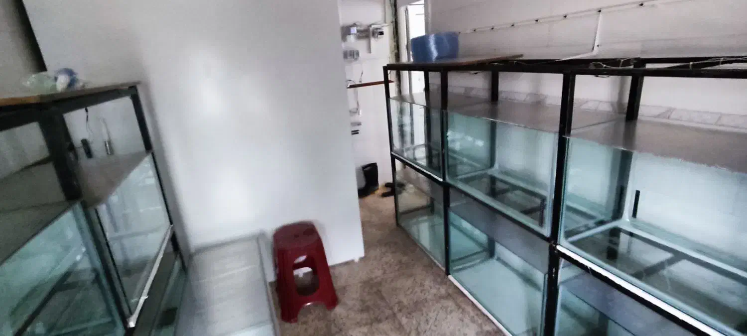 آکواریوم به همراه پایه و پمپ هوای مرکزی|ماهی|محمدیه-قزوین, |دیوار