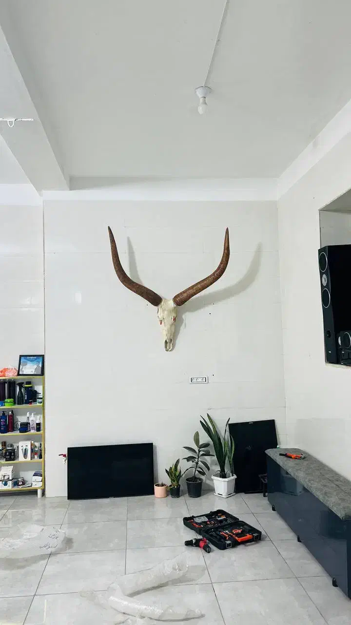 مجسمه دیواری|مجسمه، تندیس، ماکت|مریوان, |دیوار