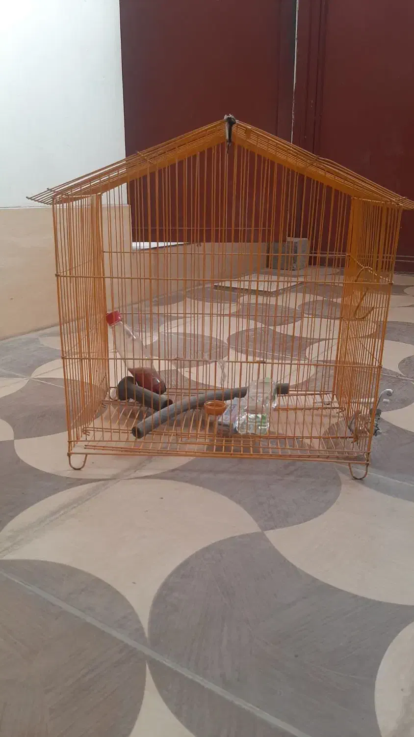 قفس پرنده|لوازم جانبی حیوانات|کرمانشاه, |دیوار
