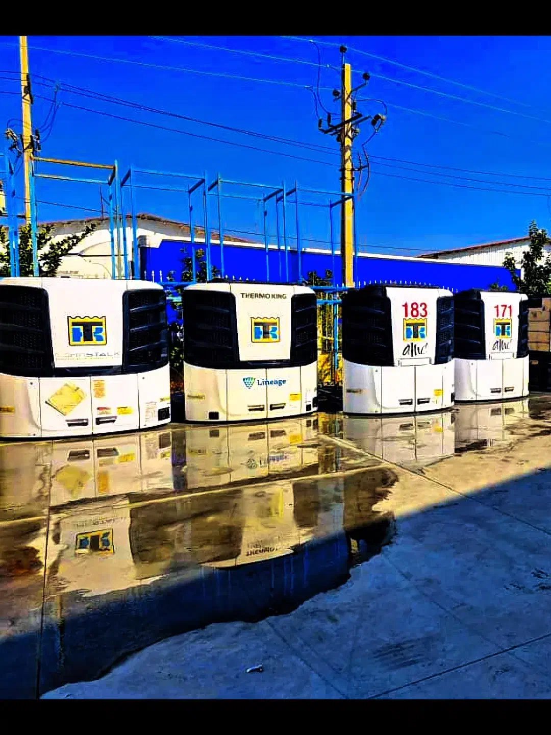 یخچال تریلی. ترموکینگ C600|خودرو سنگین|تهران, انبار نفت|دیوار