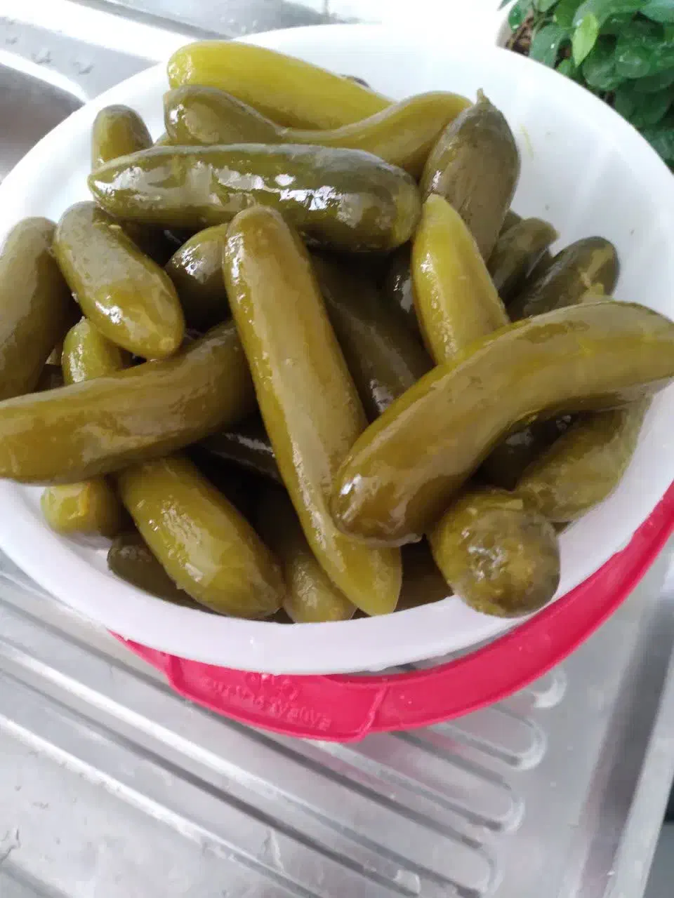 خیار ،شور|خوردنی و آشامیدنی|مهدی شهر, |دیوار