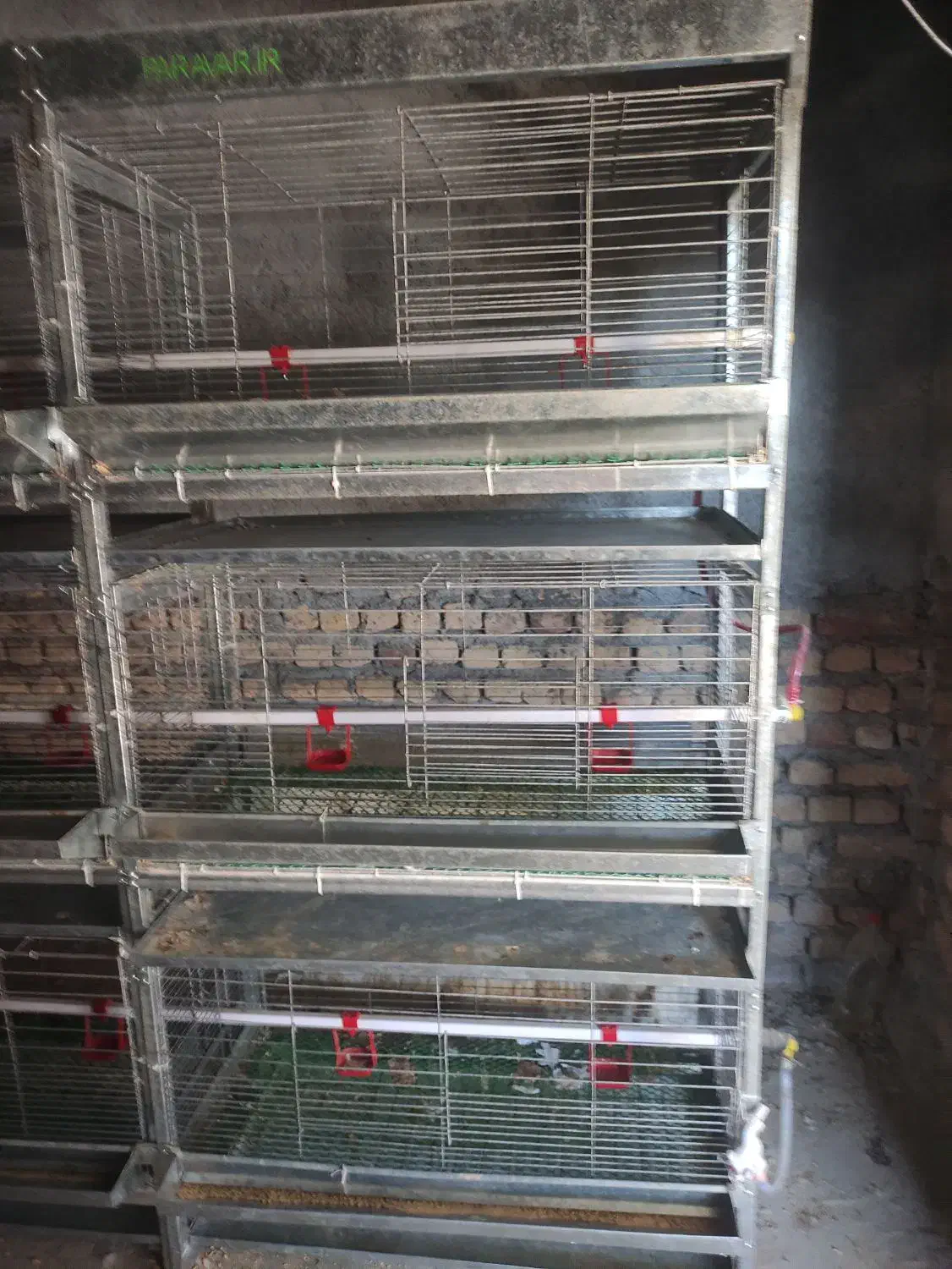 قفس مرغ گوشتی|لوازم جانبی حیوانات|بندر ترکمن, |دیوار