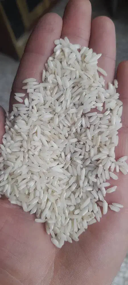 برنج هاشمی|خوردنی و آشامیدنی|زنجان, |دیوار