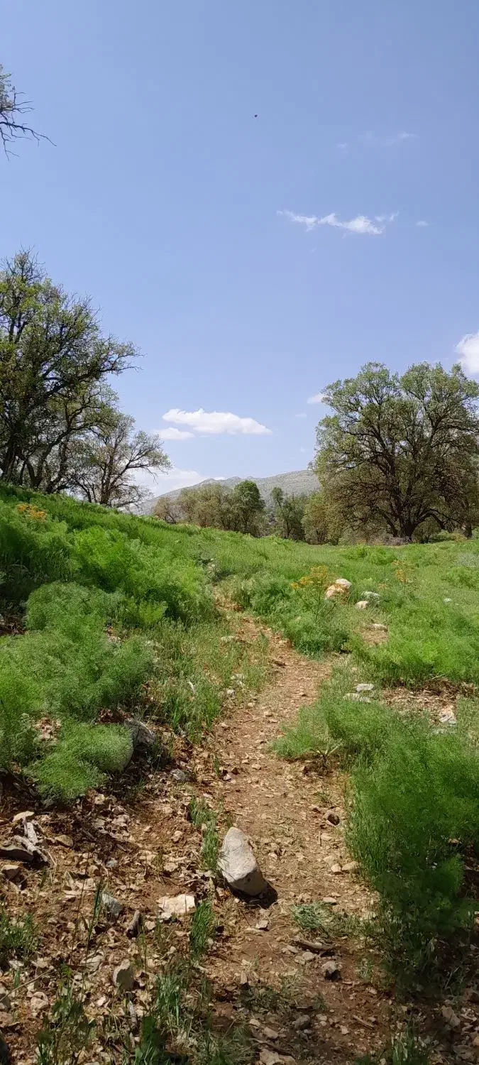 پیاده روی|فعالیت داوطلبانه|بهبهان, |دیوار