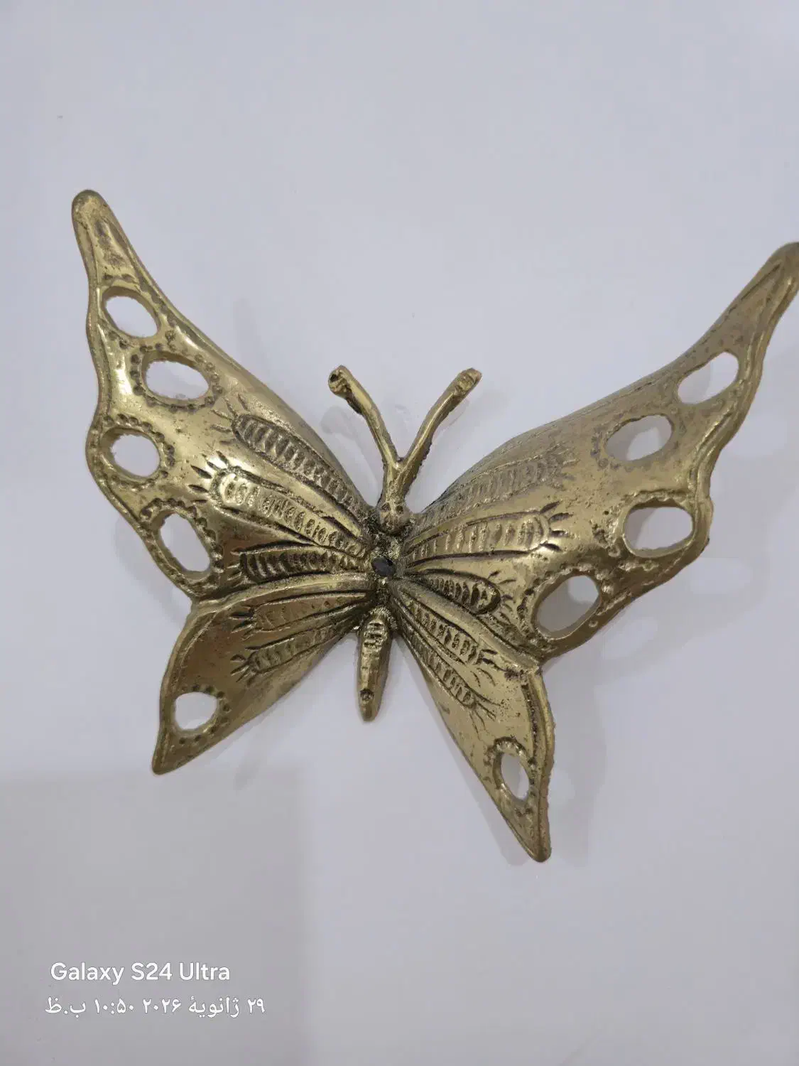 پروانه برنز|تابلو، نقاشی، عکس|شهریار, شهریار|دیوار