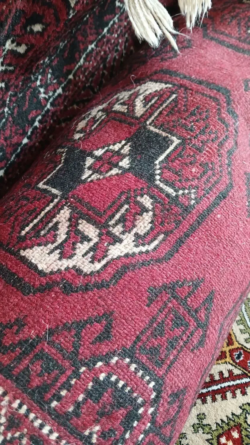 فرش|فرش|گنبد کاووس, |دیوار