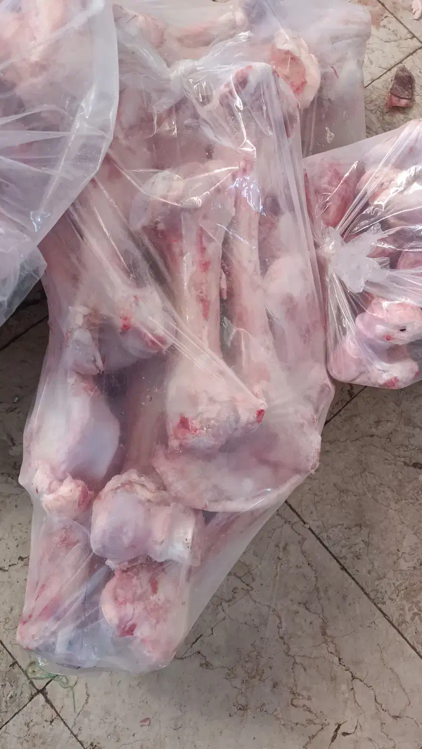 قلم گوساله تازه .کوهان شتر. کلی و جزعی|خوردنی و آشامیدنی|مشهد, مصلی (کارمندان اول)|دیوار