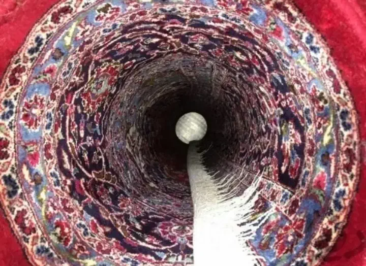 قالیشویی سید جمال تحویل48ساعته توس کوی امیر|خدمات نظافت|مشهد, نوده|دیوار