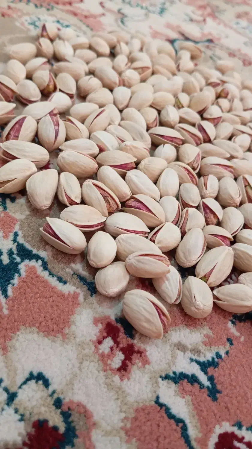 پسته احمد آقایی و فندقی|خوردنی و آشامیدنی|تهران, شهرآرا|دیوار
