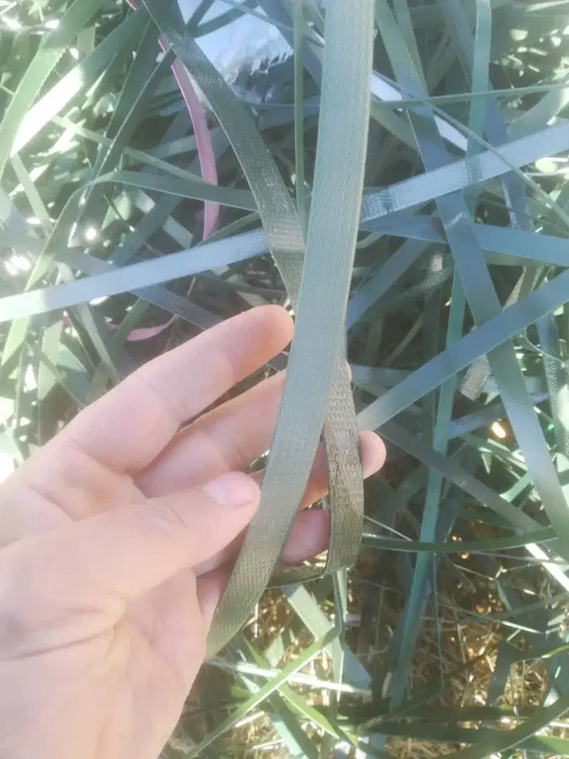 خریدظایعات|خدمات پیشه و مهارت|قلعه نو, |دیوار