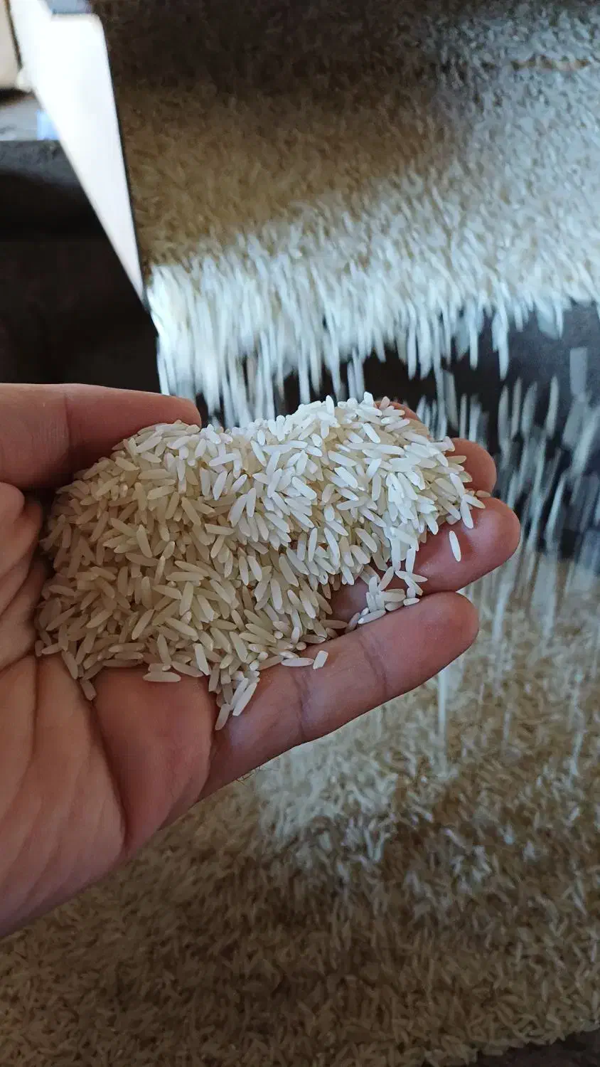 برنج دونوج و|خوردنی و آشامیدنی|فرح آباد, |دیوار