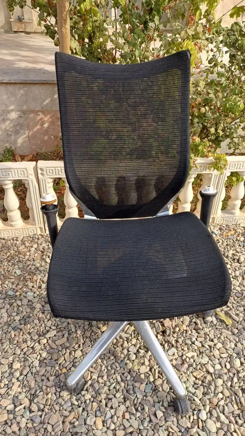 صندلی اروند|صندلی و نیمکت|آبیک, |دیوار