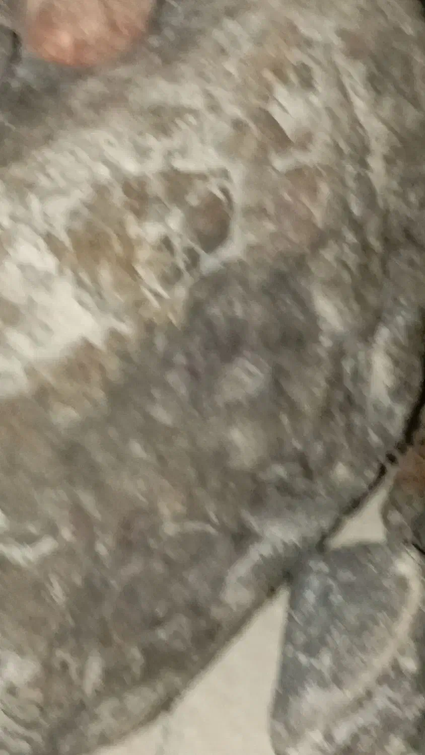 انواع شهاب سنگ و سنگ طبی|کلکسیون اشیاء عتیقه|کرمان, |دیوار