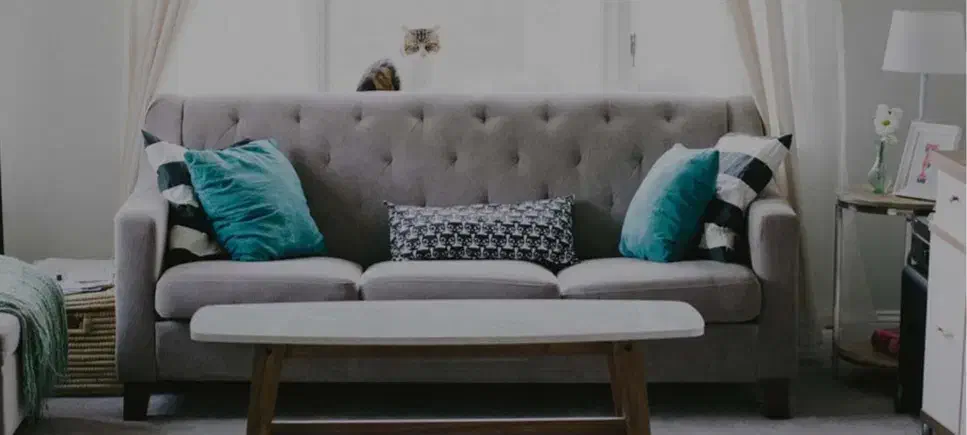 انجام امور منزل|خدمات نظافت|تهران, امانیه|دیوار