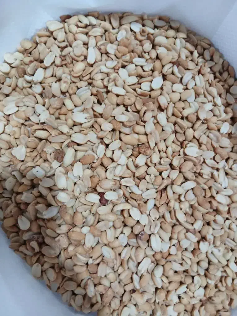 بادام زمینی مخصوص کره گیری|عمده‌فروشی|تهران, تختی|دیوار