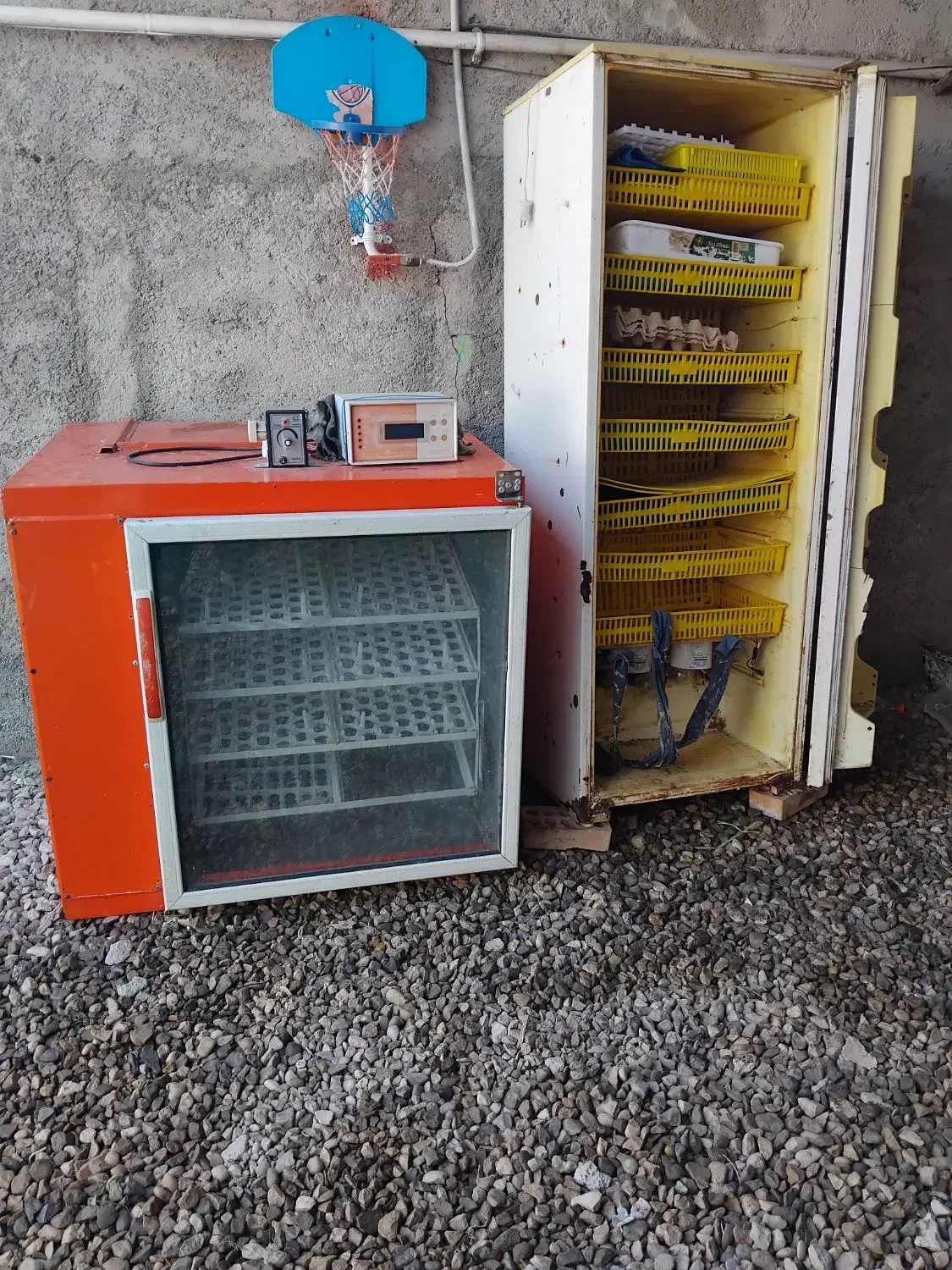 دستگاه جوجه کشی ۸۴تایی و ۷۰۰تایی|لوازم جانبی حیوانات|نگین شهر, |دیوار