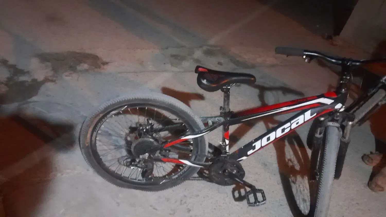 دوچرخه 24|دوچرخه، اسکیت، اسکوتر|بندر دیر, |دیوار