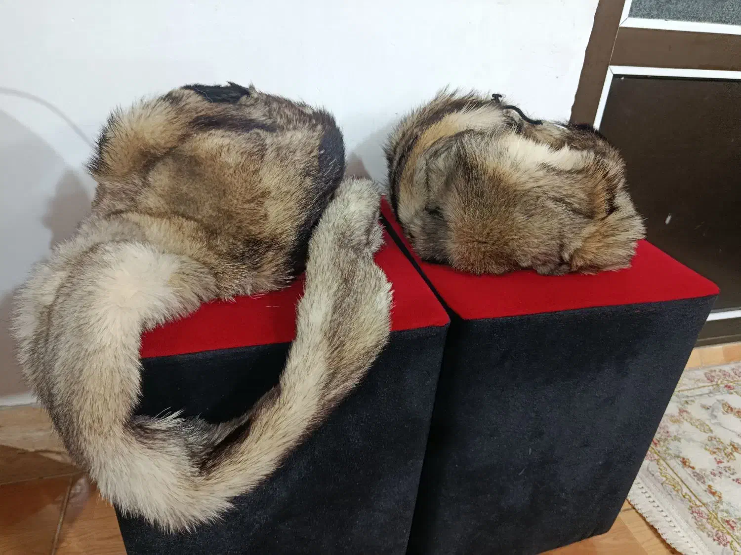 کلاه روسی|لباس|رشت, استادسرا|دیوار