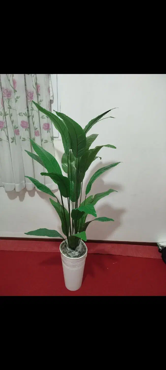 گل ها پرنده بهشتی|گل مصنوعی|دورود, |دیوار