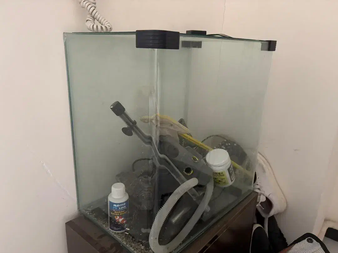 اکواریوم با لوازم خوب|ماهی|اندیشه, اندیشه فاز ۶|دیوار