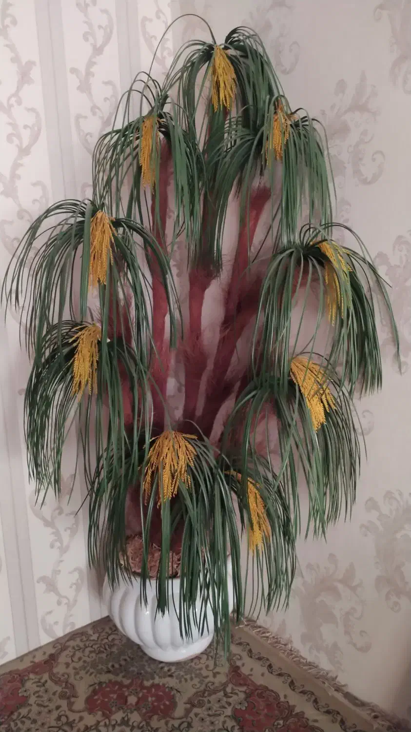 نخل بزرگ|گل و گیاه طبیعی|بیرجند, |دیوار