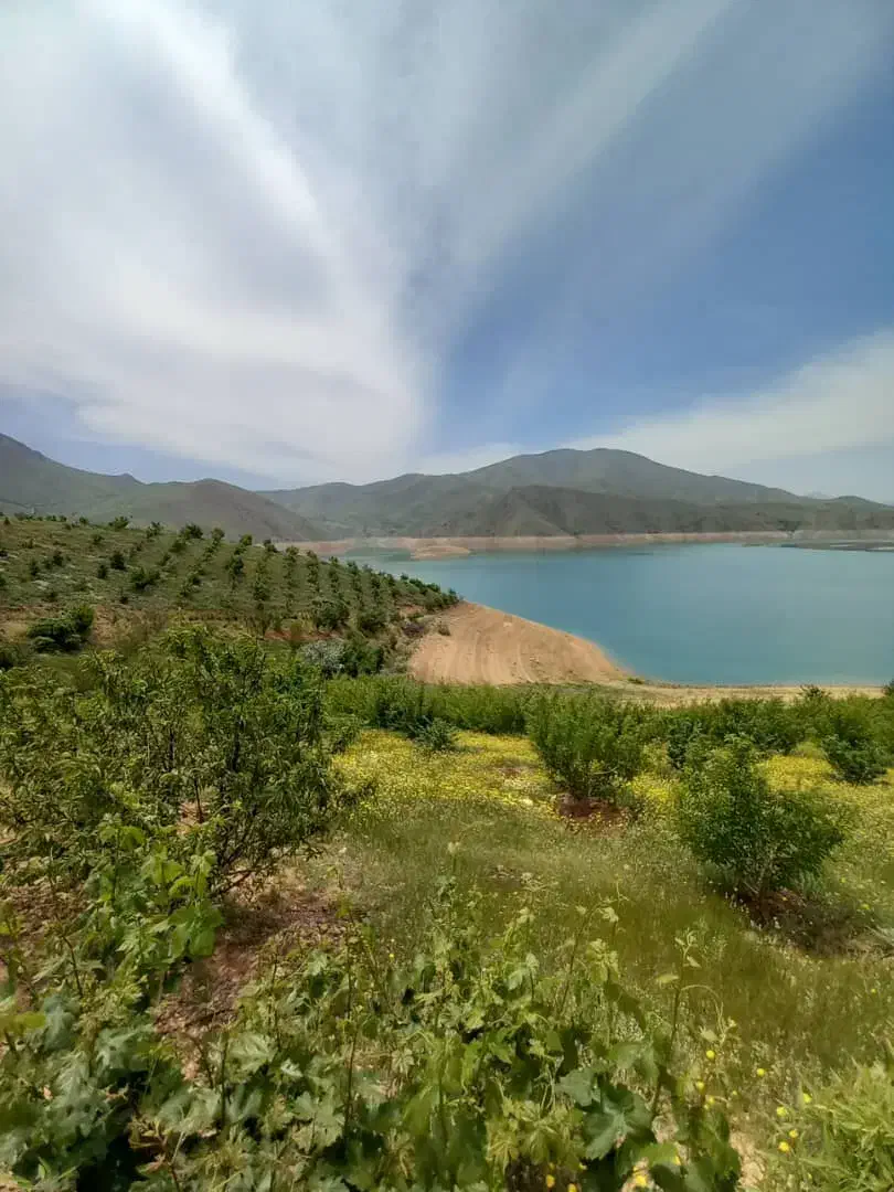 فروش باغ|فروش خانه و ویلا|موچش, |دیوار