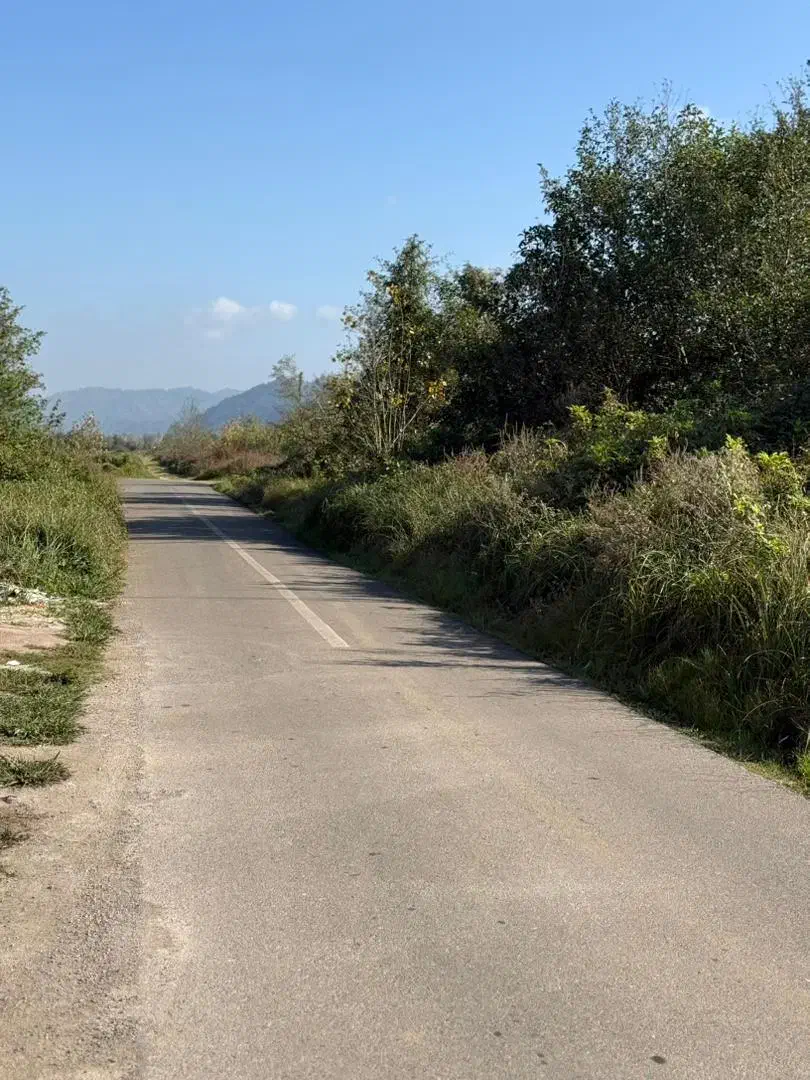 زمین ۲۰۰ متری لاهیجان چسبیده به بافت مسکونی|فروش زمین و ملک کلنگی|لاهیجان, آهندان|دیوار