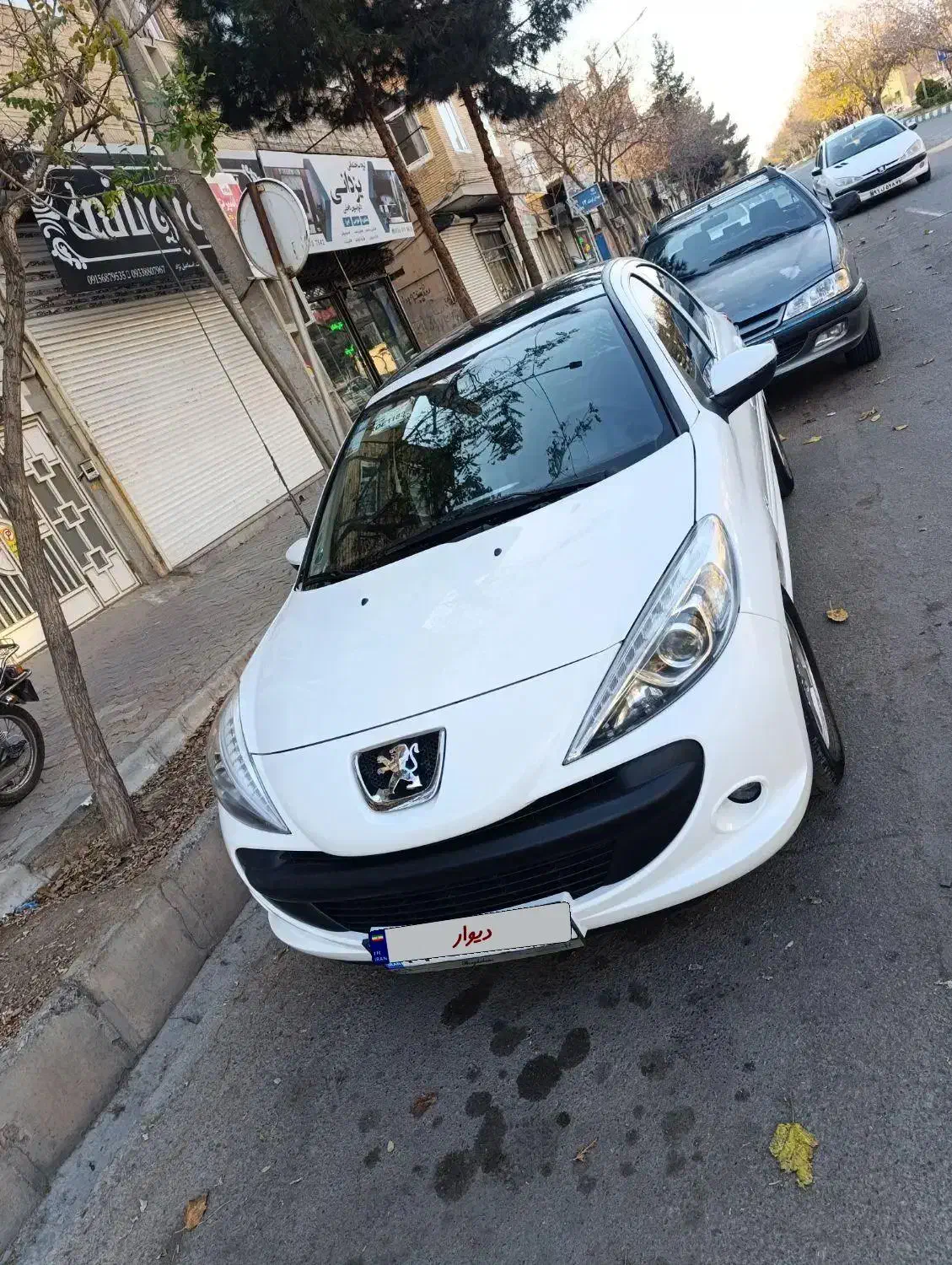 207پاناارتقامدل1403|خودرو سواری و وانت|سبزوار, امیر کبیر|دیوار