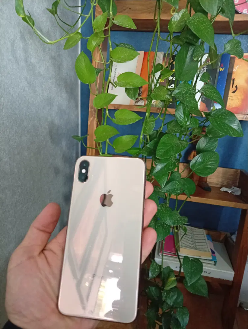 آیفون xs masx 256|موبایل|محمدشهر, عباس آباد|دیوار