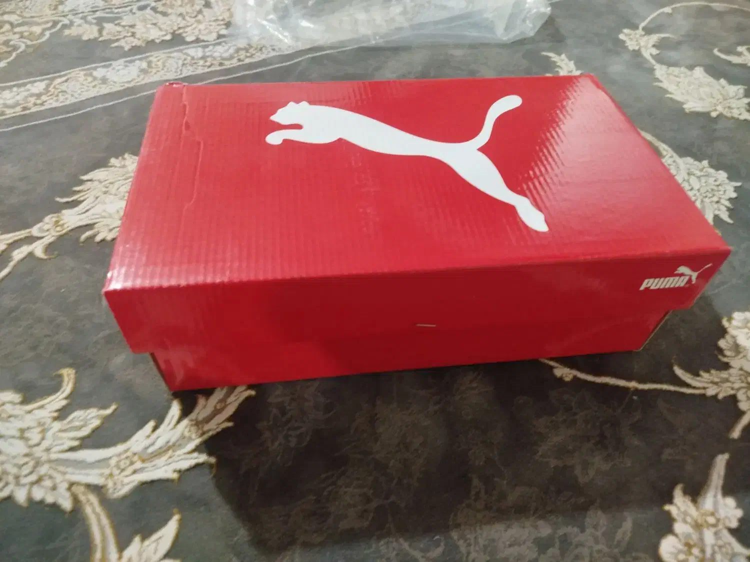 کفش|کیف، کفش، کمربند|دورود, |دیوار