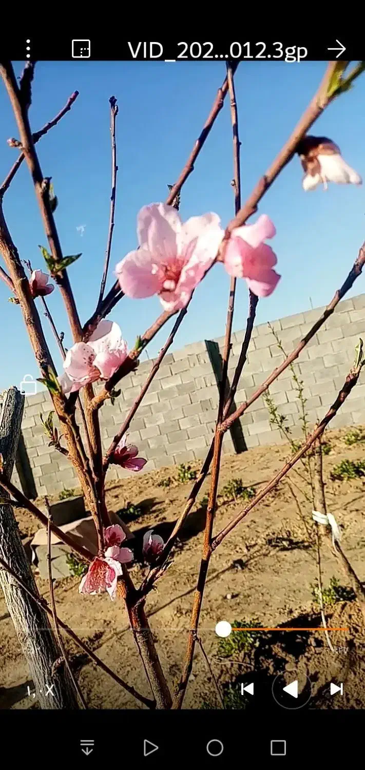 زمین دشت انقلاب 360متر|فروش زمین و ملک کلنگی|کویرات, |دیوار