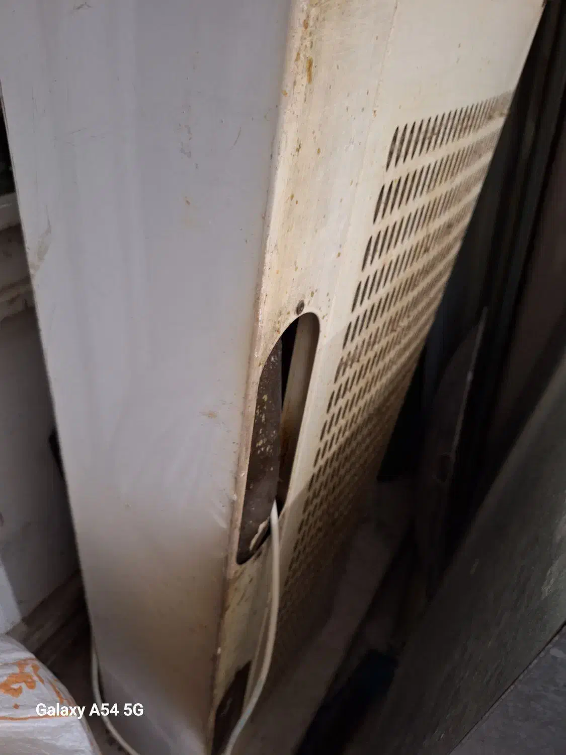 هود سالم|هود|طرقبه, |دیوار