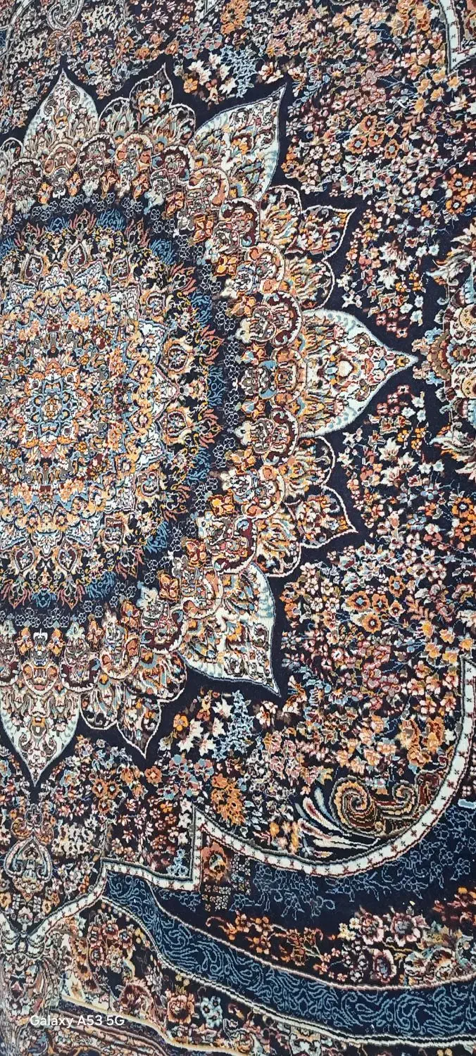 قالی|فرش|چالوس, |دیوار