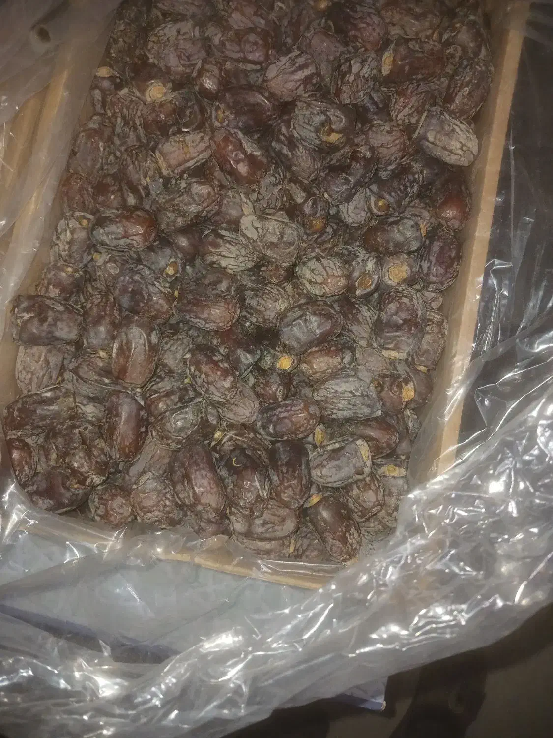 فروش خرما کلوته|عمدهفروشی|چاه مرید, |دیوار