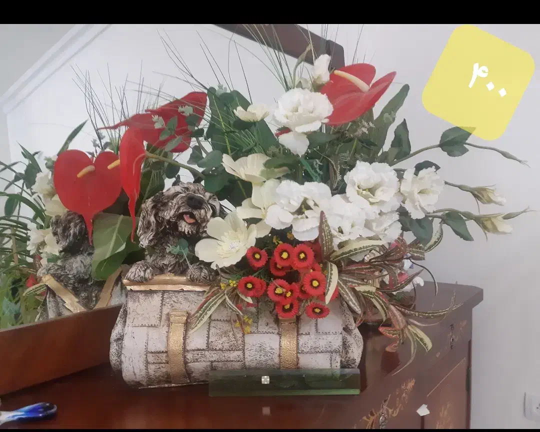 حراج ۳۶۹|لباس|ارومیه, |دیوار