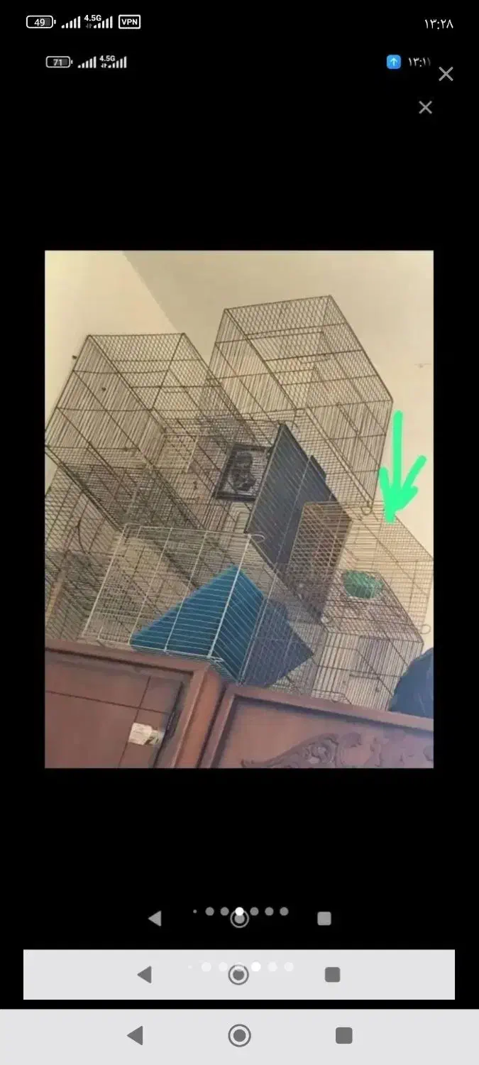 عنوان قفس پرنده|لوازم جانبی حیوانات|بوشهر, |دیوار