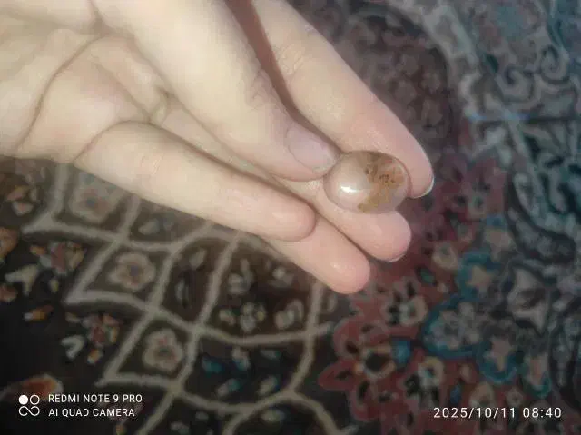 سنگ اصل بفروش می‌رسد دونه ای ۲۵۰|جواهرات|تبریز, |دیوار