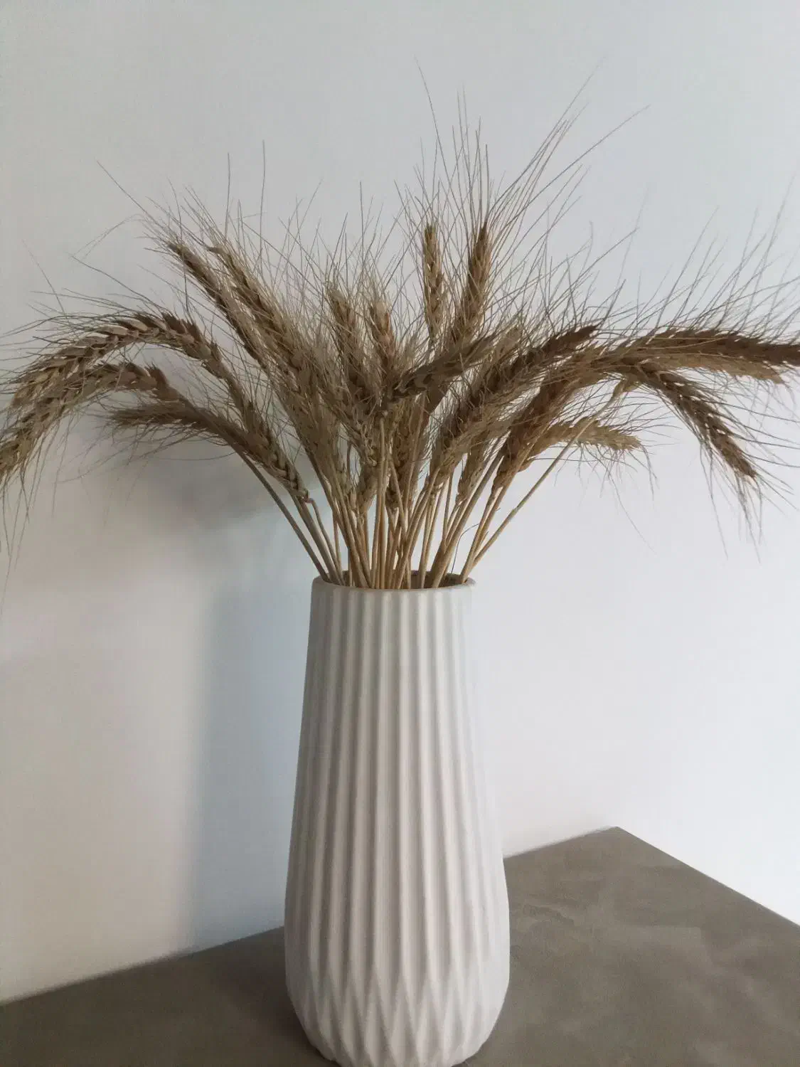 نیروی کار در کلینیک دندانپزشکی|استخدام اداری و مدیریت|کرمان, |دیوار