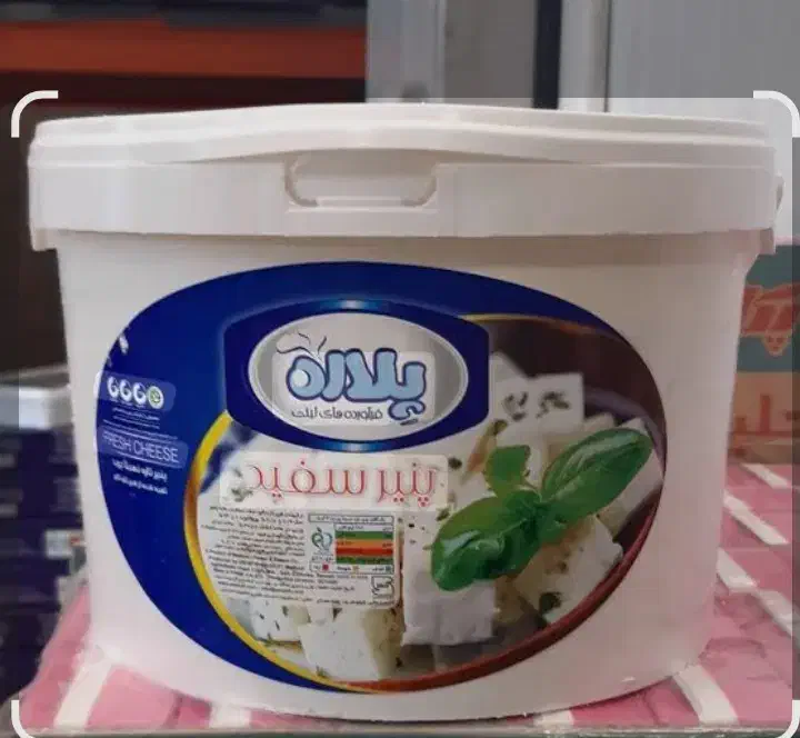 سطل ده کیلوی|ظروف نگهدارنده، پلاستیکی، یکبارمصرف|قروه, |دیوار