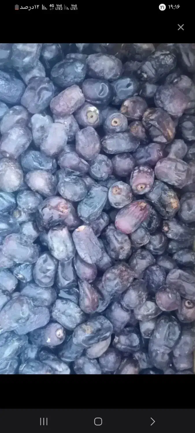 خرما دو|خوردنی و آشامیدنی|ریگان, |دیوار