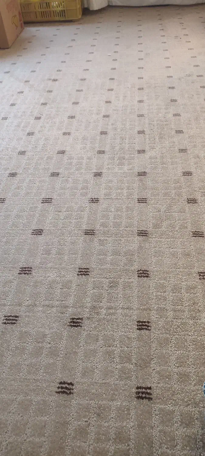 موکت دست دوم درحد نو|موکت|صباشهر, |دیوار