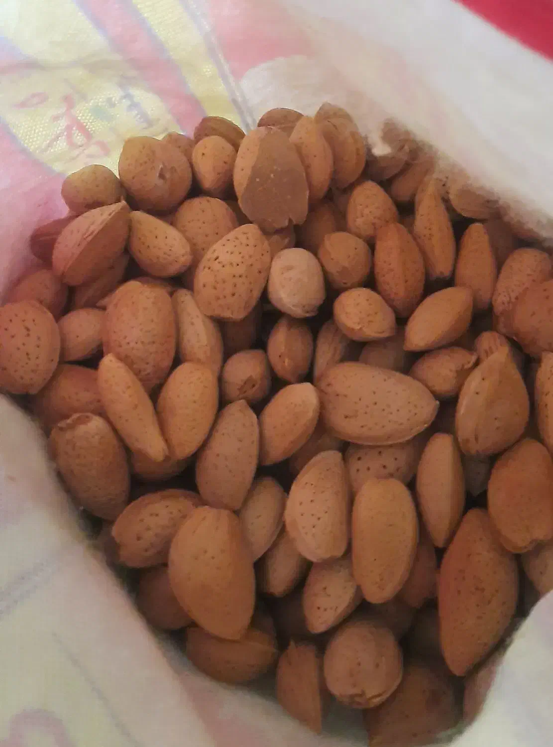 بادام درختی|خوردنی و آشامیدنی|تهران, بهداشت|دیوار
