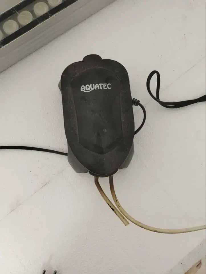 آکواریوم|ماهی|نهاوند, |دیوار