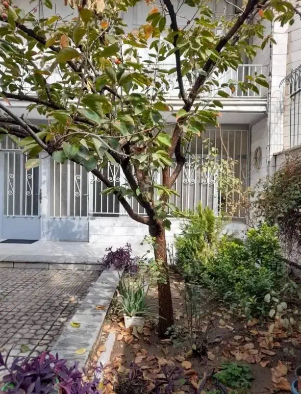 کلنگی ۱۶۳ متر سهروردی جنوبی سلیمان خاطر|فروش زمین و ملک کلنگی|تهران, سهروردی|دیوار