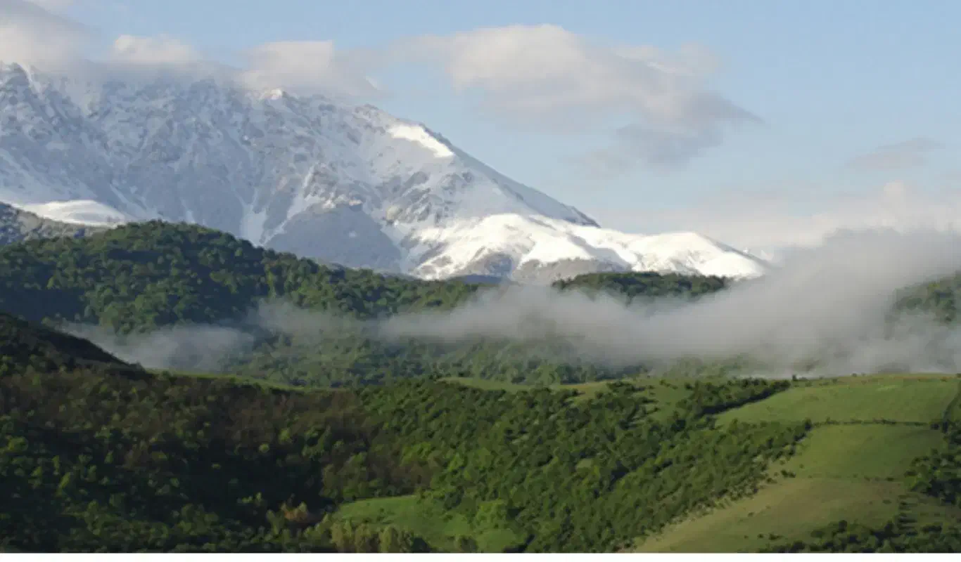 زمین تو بافت، مجوز ساخت در محله سودکلا دودانگه|فروش زمین و ملک کلنگی|فریم, |دیوار